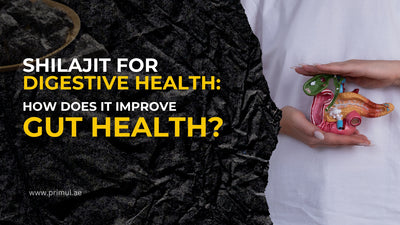 Shilajit for Digestive Health: How It Can Improve Gut Function?