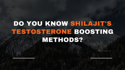 Do you know how can Shilajit increase testosterone?