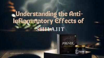 Understanding the Anti-Inflammatory Effects of Shilajit