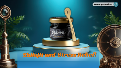 Shilajit and Stress Relief: Natural Ways to Cope with Stress for Men