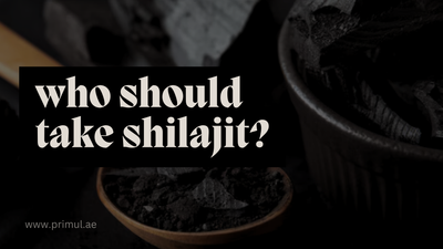 Who Should Consider Adding Shilajit to Their Routine?