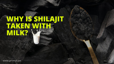 The Power Duo: Exploring Why Shilajit is Best Taken with Milk