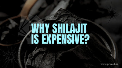 Why Shilajit is Expensive: Understanding the High Cost of this Potent Supplement